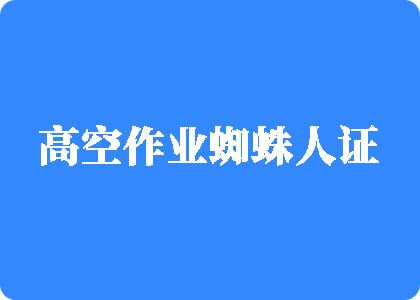 日嫩逼黄色的视频高空作业蜘蛛人证